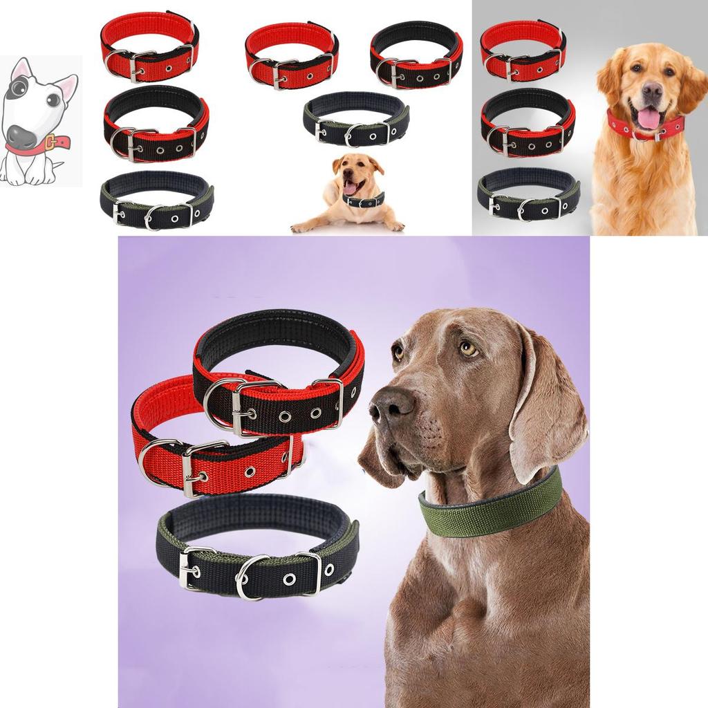 Pet Collar Made Of Pp Polypropylene Breathable And Comfortable Suitable For All Seasons