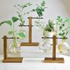 Glass Hydroponic Plant Container Decoration Tabletop Glass Planter  For Hydroponics Plants