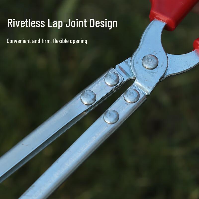 HEIXIE Stainless Steel Crab Tongs Set