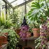 Kreativer Fledermausförmiger Gartenbedarf Hängender Pflanzer, Gotischer Blumentopf für Innen Außen Garten Blumenwand Dekor, Einzigartiger Flügel-Blumentopf Sukkulenten