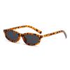 Vintage Cat Eye Sunglasses Women  Fashion New Outdoor Casual Shades Trendy Stylish Luxury Brand Design Decor Sun Glasses
