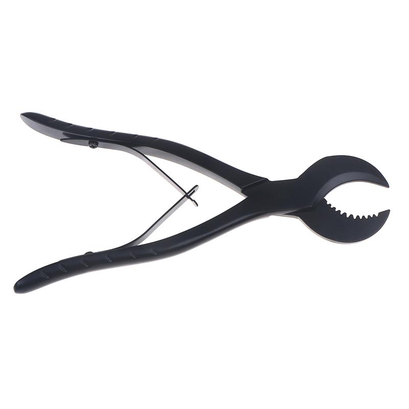 Coral Scissors Seawater Fish Tank Stainless Steel Scissors Sps Broken Branch Coral Pliers Coral Straight Scissors