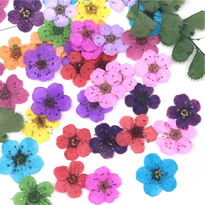 30PCS/Bag Dried Flowers Decor DIY UV Resin Mold Fillings Nail Art Flowers Stickers For Jewelry Making Home Decoration Handicraft