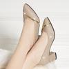 Modische High Heels Damen 2026 Neuer Frühling Herbst Matt All-Match Dicker Absatz Spitze Flacher Mund Professionelle Damenschuhe