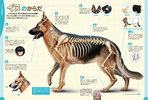 Dogs, Cats, and Pets (Gakken's Illustrated Encyclopedia LIVE)