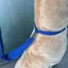 Adjustable Pet Grooming Loops Dog Bathing Fixer Traction Rope Cat Noose Beauty Table Sling with Suction Cup Hook for Pet Restrai