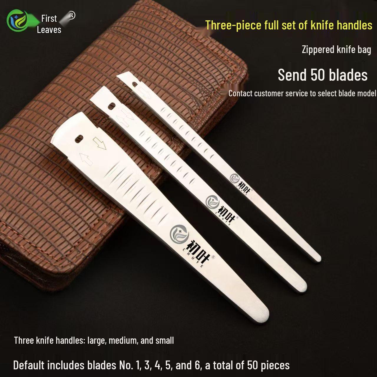 

Chuye Stainless Steel Foot Care Knife Set - 11 Handle Types, No Sharpening Needed, Includes Disposable Blades