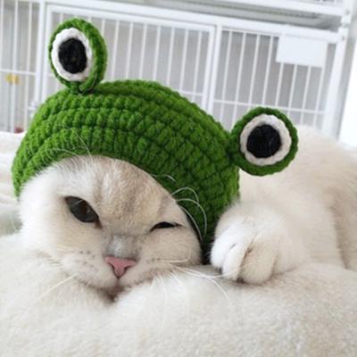 Roztomilý mazlíček Crossdressing Vlněná pletená žabka Pokrývka hlavy Kočky a psi Roztomilé zdobící pokrývky hlavy Potřeby pro domácí mazlíčky