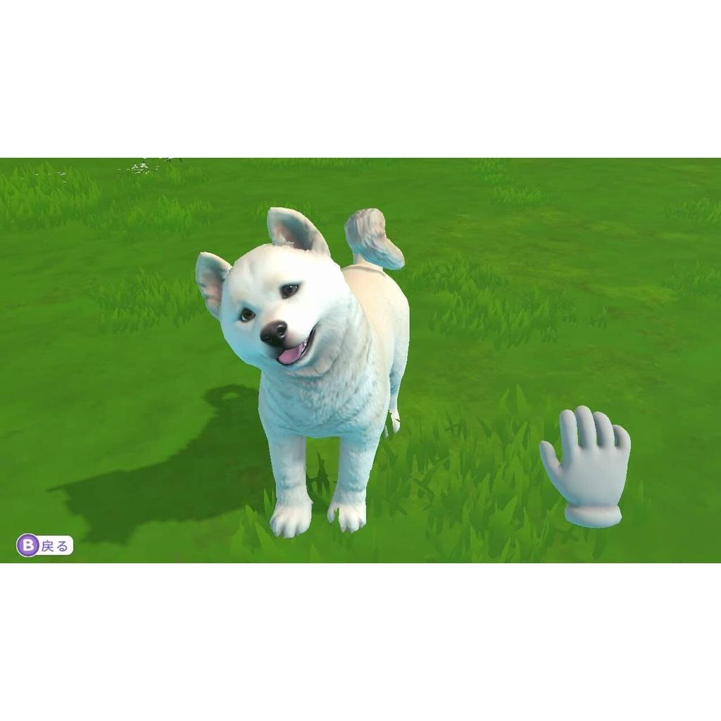 

Nintendo Switch Little Friends Puppy Island