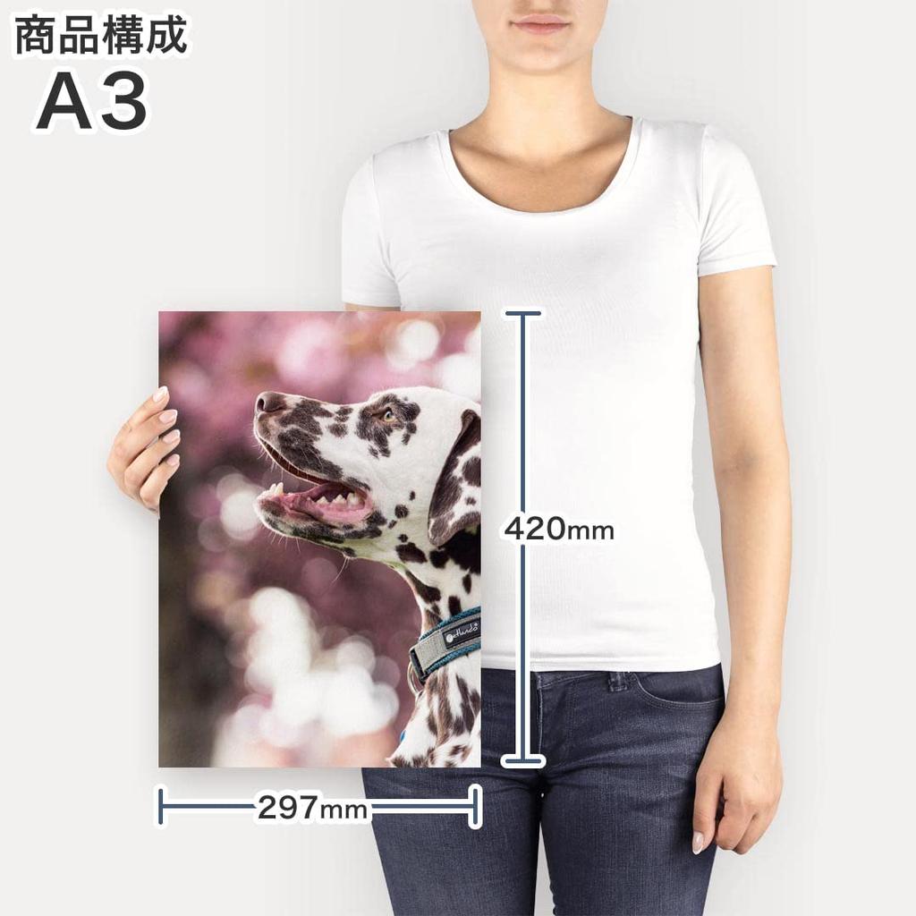 Art 420mm x Wall Wooden Stylish Interior Animal Photo Panel, Painting, Decoration, igsticker, 297mm, A3, Photo, Hanging, Frame, Decor, 023189, Dog,