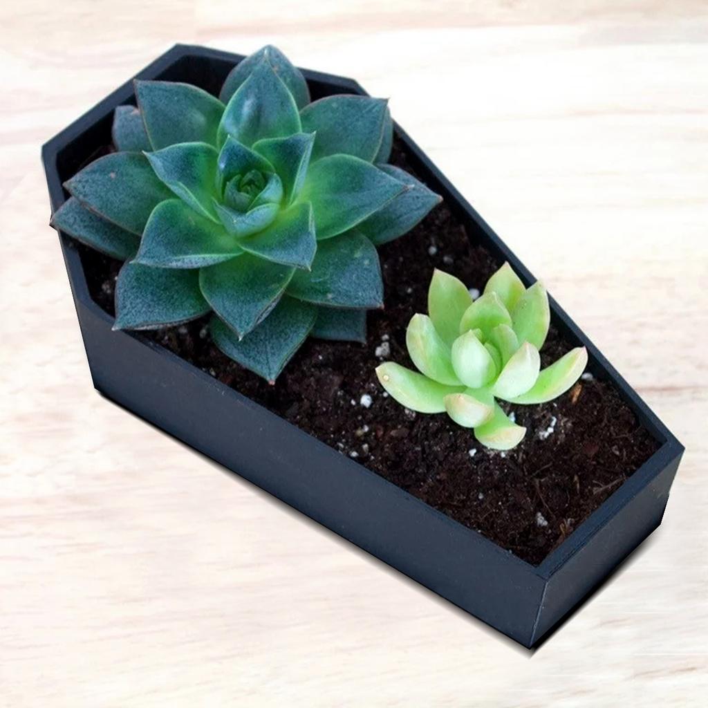 Black Coffin Shaped Planter Pot Halloween Themed Succulent Flowers Style Wood Container Creative Desktop Decor for Home & Garden