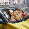Creative Summer Aluminum Foil Car Windshield Sunshade