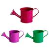Colorful Iron Floral Container Metal Watering Can for Outdoor Plants, Small Kettle with Handle Decorative Plant Jug Succulents Garden Flowers,