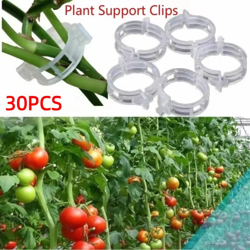 30Pcs Agricultural Gardens Plants Vines Buckles Fixing Hooks Brackets Greenhouses Vegetable Tools Plastic Flower Pots