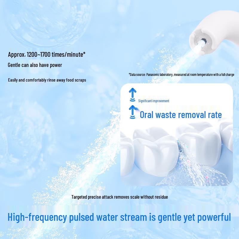 Panasonic Portable Water Flosser
