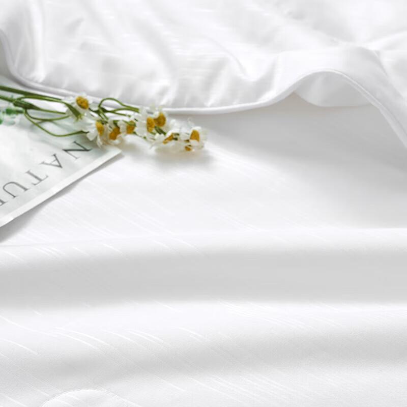 Fuanna Antibacterial Cooling Summer Quilt