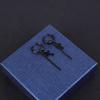 Titanium Steel Earrings Men Temperament Trendy Earrings Korean Women Long Tassel Chain Earrings