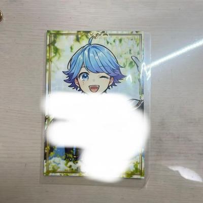 [USED] Ireise Ryogoku Kokugikan Solo Live Admission Bonus