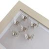 20 Stück Mini Metall Schmetterling Haarklammern, Hohl Kleine Schmetterling Haarclips, Niedliche Seitenpony Zöpfe Haarspangen für Damen Mädchen Haarschmuck