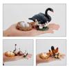 Hen Educational Toys Life Cycle Figures White Goose Cycle Duck Figurine Growth Cycle Simulation