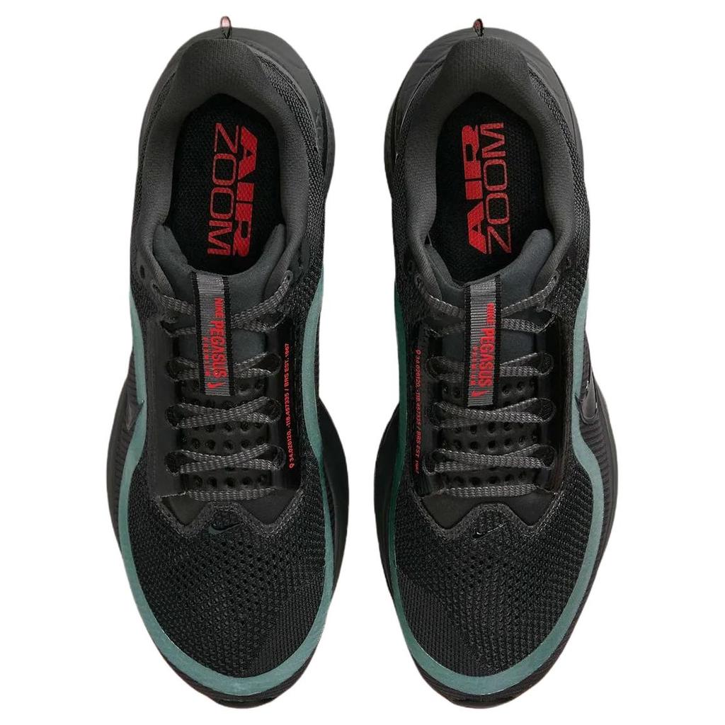 Nike Pegasus Premium 'Anthracite Black' Men's HQ2592-011