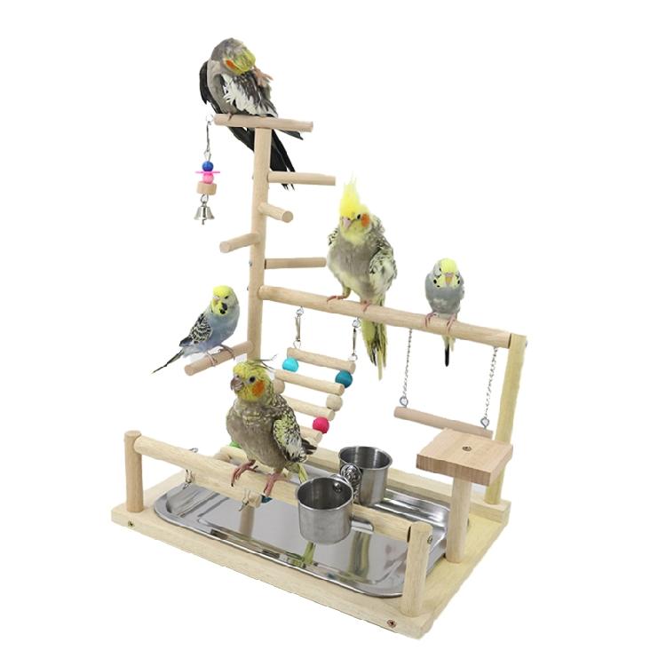 Vogelstange Sitzstange Papageien Spielständer Übungs Spielgymnastik mit Futterspender Übungs Aktivitätszentrum für Conure Nymphensittich Wellensittich