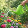 Langlebige 1,8L Gießkanne Langer Ausguss Großes Fassungsvermögen Pflanzenbewässerungssprüher Leichter Ergonomischer Griff Gießkanne Hausgartenwerkzeuge