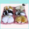 Bonecas e peluches – Peluches
