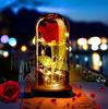 Rose glowing in glass, LED, eternal, pink, battery, proposal, wedding, name day
