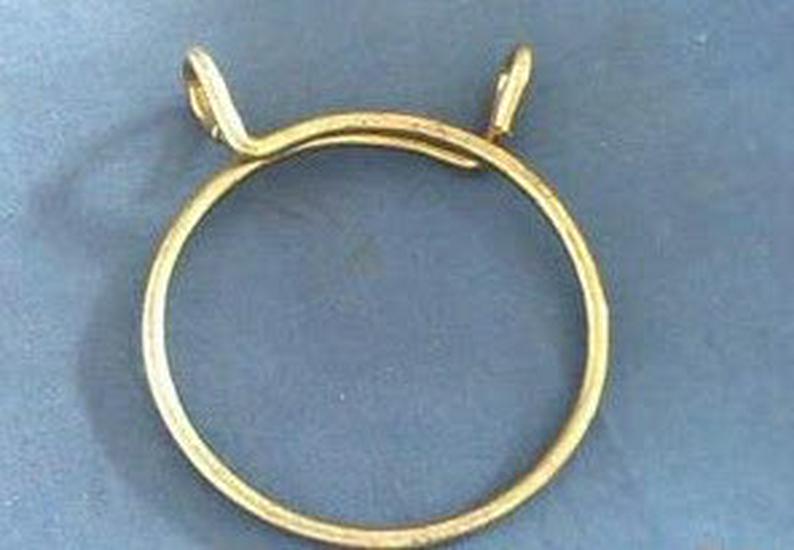 

4MM Single & Double Wire Hose Spring Clamps