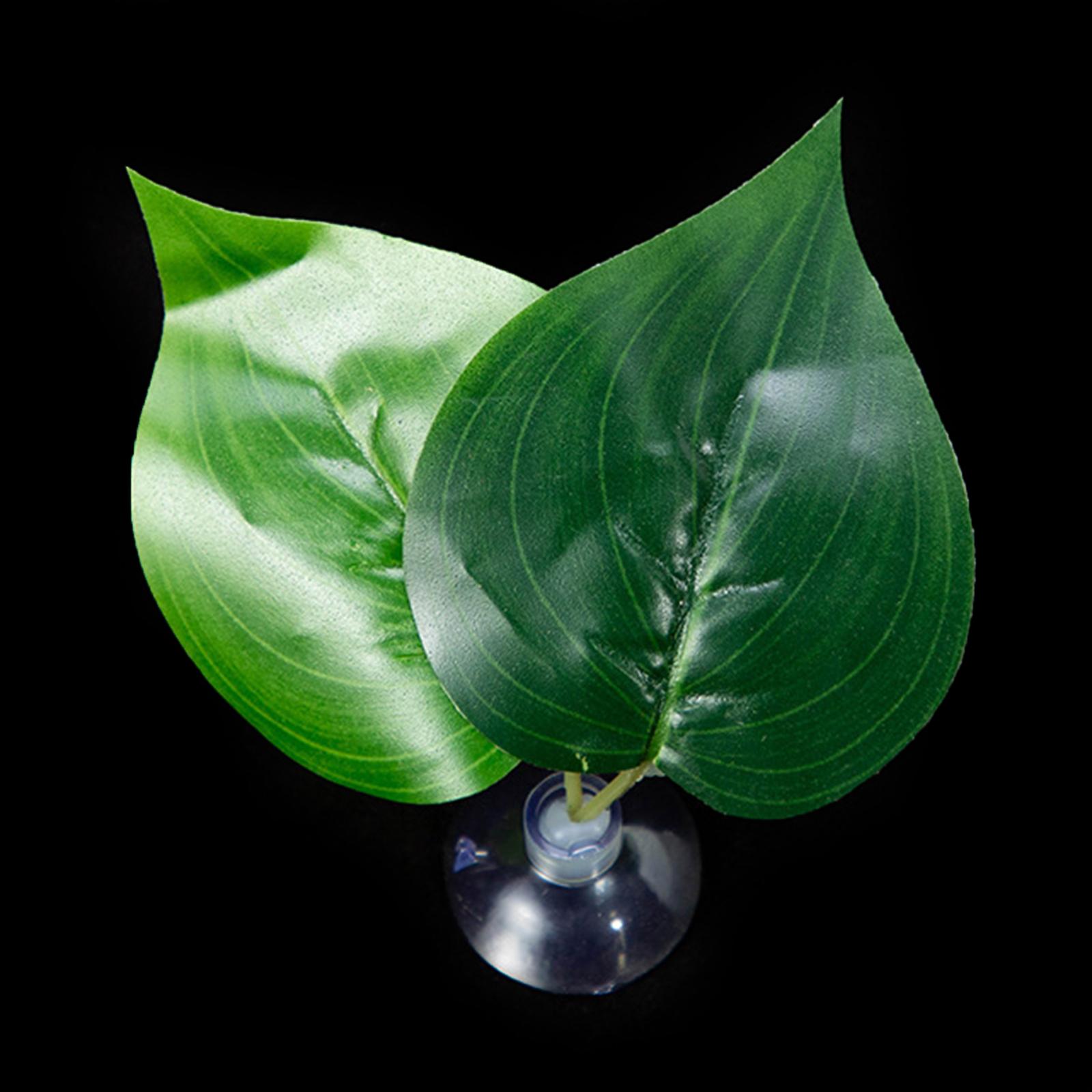 

Присоска для лежака из листьев для рыбок Betta, гамак, аквариумы, нерестилища, листовые подстилки, аквариумы, принадлежности для разведения Y2