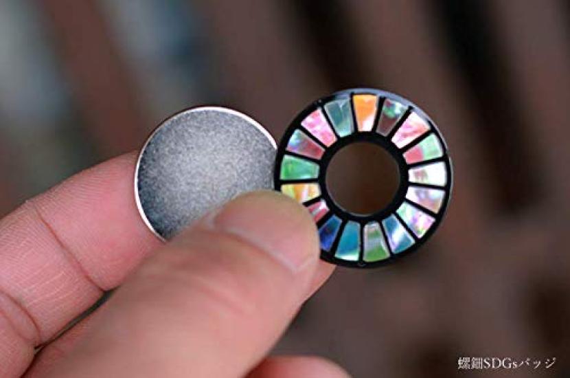 SDGs badge magnet Mother-of-pearl