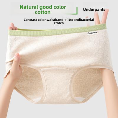 Ropa interior – Calzoncillos higiénicos