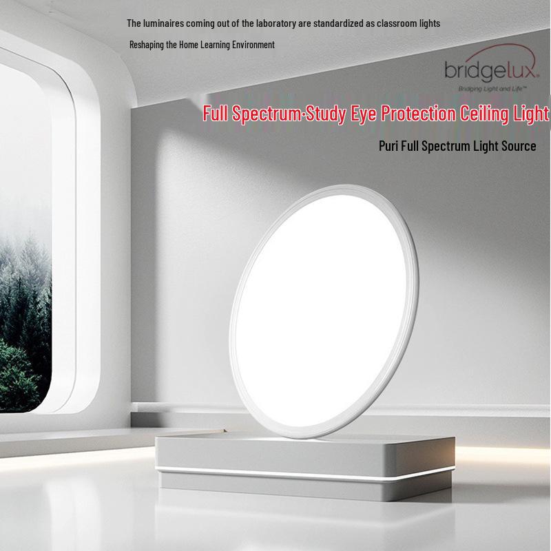 

LED Home Decoration Lighting: Full Spectrum Ceiling Light for Living Room or Bedroom 230MM Balcony/Corridor