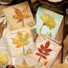 Exquisite Leaf Metal Bookmark with Metal Chain Pendant Maple Apricot Leaf Book Markers Reading Accessories Student Stationery