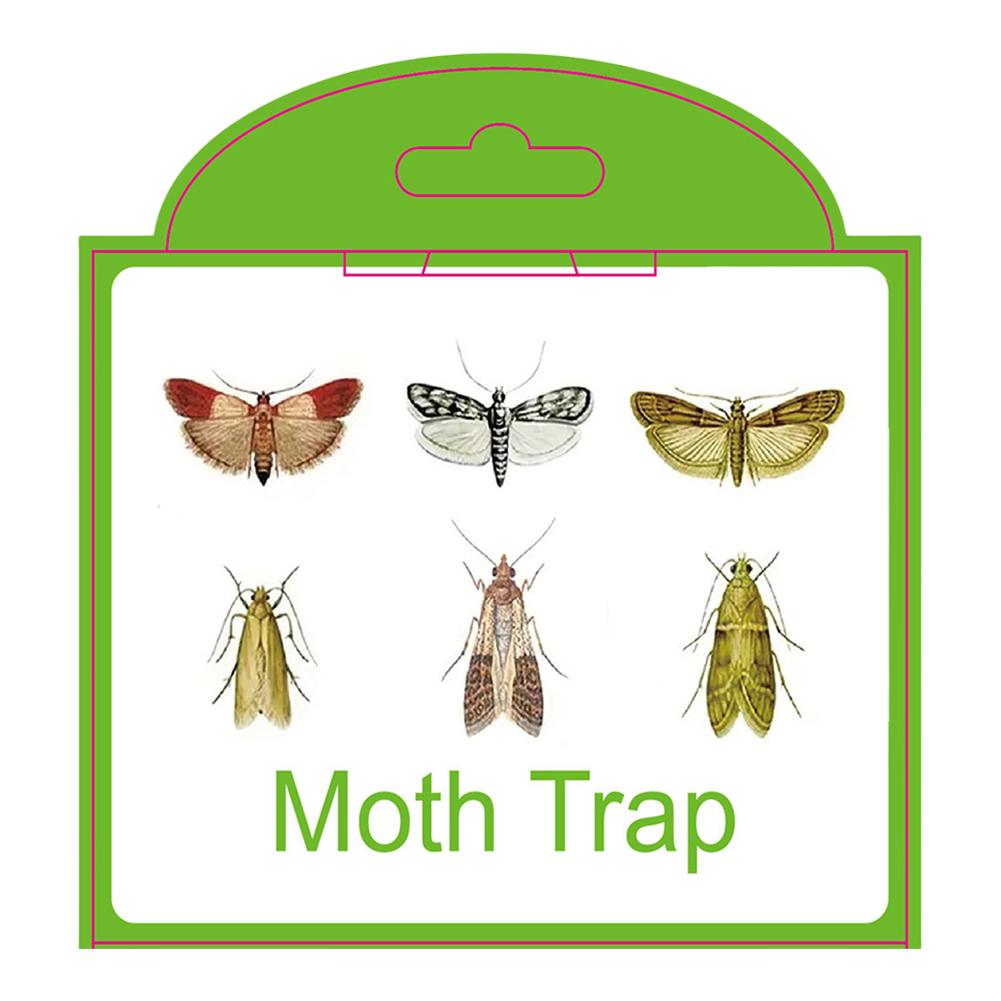 5Pcs Pantry Moth Traps with Pheromones Prime Sticky Glue Indian Meal Moth Traps Clothes Moth Traps for Food Cupboard