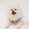 NU PARCC Print Pet T-Shirt - White (Dog Clothes)