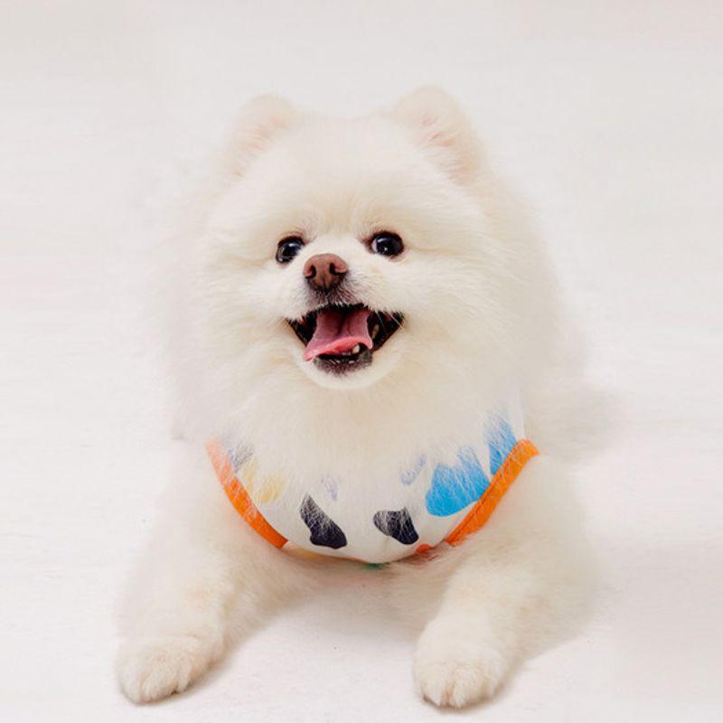 NU PARCC Print Pet T-Shirt - White (Dog Clothes)