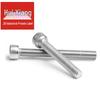 304 Stainless Steel Hex Socket Head Cap Screw