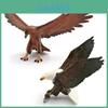 Childrens Wildlife Bird Model Pvc Desk Decor For Learning And Education