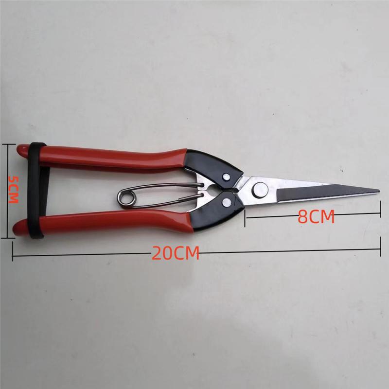 Pointed Scissors Convenient Ergonomic Design Non-slip Handle Fits The Palm Ease Of Use Flower Pruning Garden Fruit Shears Cozy