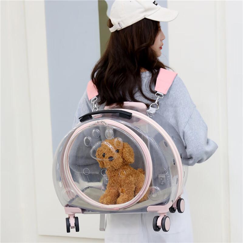 Hufeng Transparent Pet Carrier Trolley Backpack