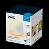 WiZ Lampe À Poser Portable Wi-Fi Couleur SQUIRE Wi-Fi 22-65K, Blanche
