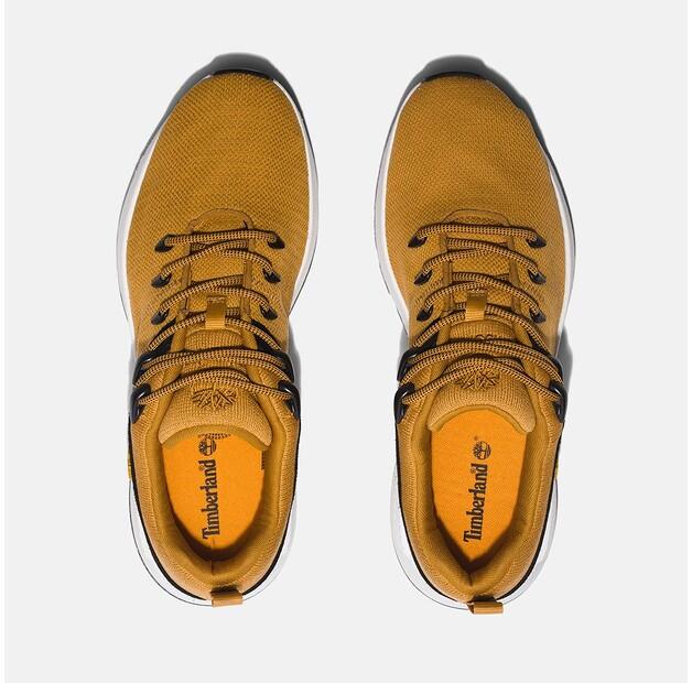 Timberland Sprint Trekker Low Knit Sneakers