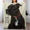 Staffy and Proud Throw Blanket Cozy Microfiber Throw Blanket for Home Bedroom