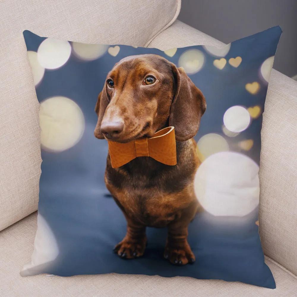 Mini Dackel Hund Kissenbezug Dekor Haustier Tier Kissenbezüge Superweicher Plüsch Kissenbezug für Sofa Zuhause Kinderzimmer 45x45cm
