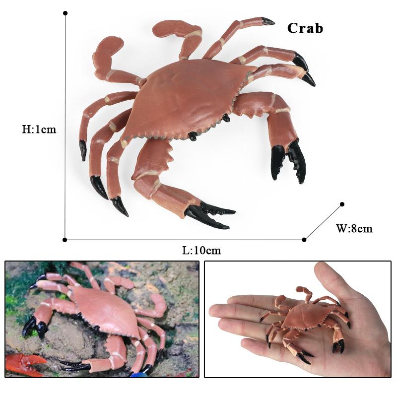 Oenux Simulation Ocean Sea Life Animals Model Lovely Crab Action Figures Toy Cake Toppers Collection Jouet Kids Education Gift