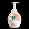 Dettol Grapefruit Foaming Hand Wash (2x250ml)