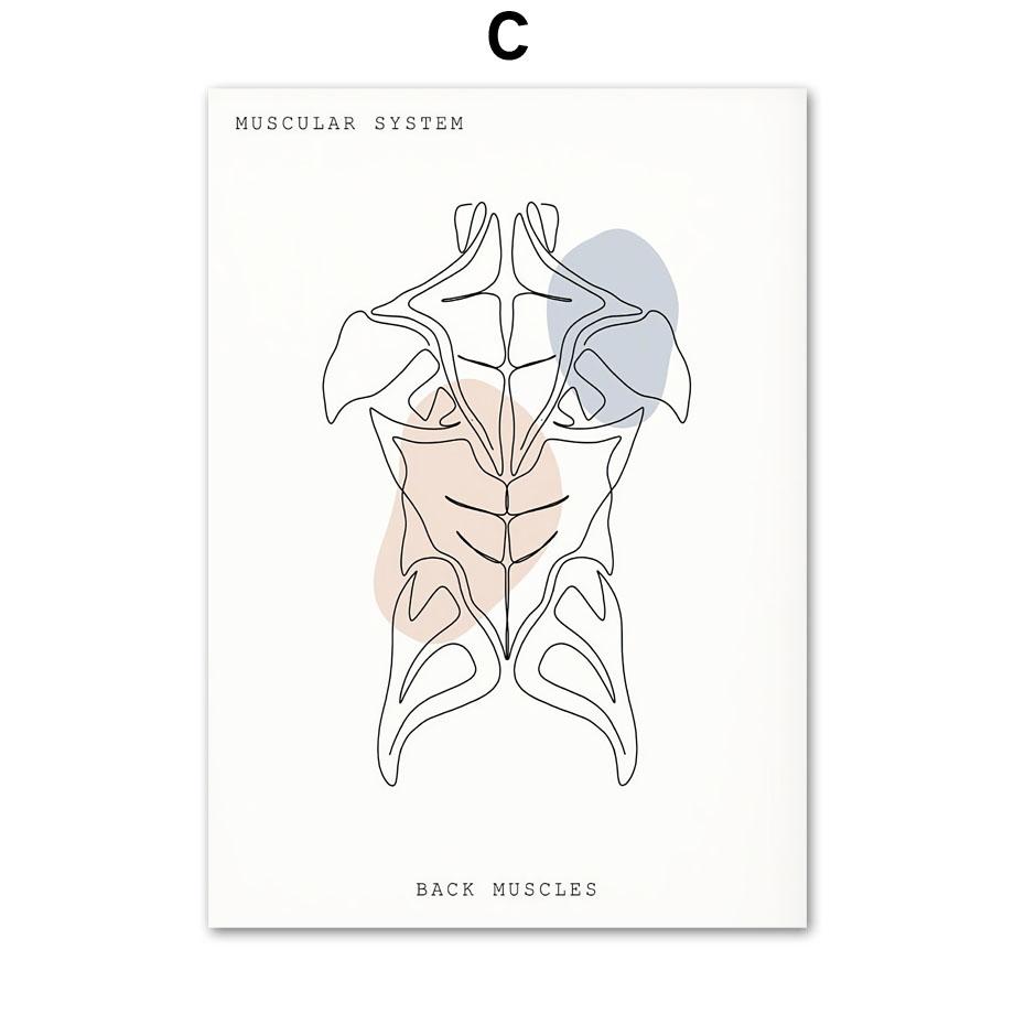 Minimalistisches buntes Anatomie-Linien-medizinisches Poster und Druck, Geist-Zahn-Organ-Wand-Kunst-Leinwand-Malerei, Ästhetik, Raumklinik-Dekor