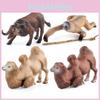Lebensechte PVC-Tierfiguren-Sammlung Mit Wasserbüffel, Faultier und Kamel-Designs